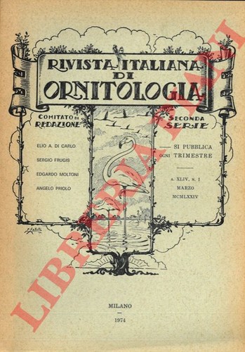 Vv rivista - -,
