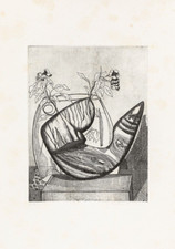 Fontanesi Giacomo (Reggio