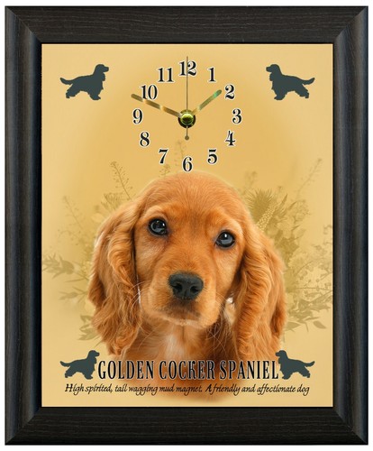 Cocker spaniel golden gift - cocker,