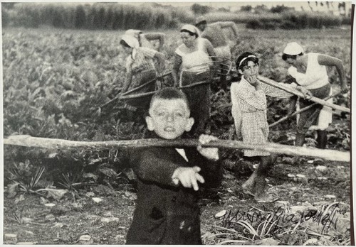 Mario giacomelli dalla serie - giacomelli,