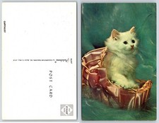 Carino Gattino Bianco Gatto In Cesto Gattino Cartolina AF307
