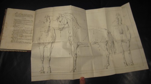 1841 roberto pauvet manuale - roberto,