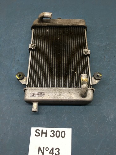 Radiatore acqua honda 300 - radiatore,