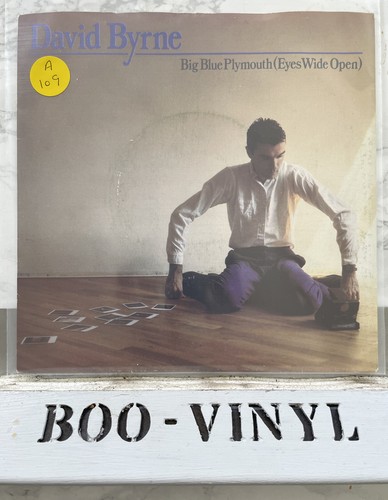 David byrne big - david,