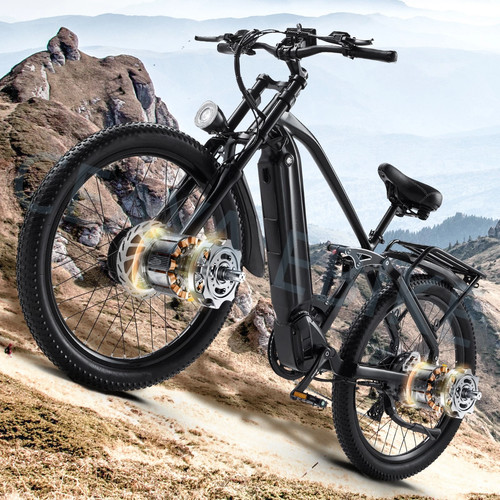 Bicicletta elettrica doppio - elettrica,