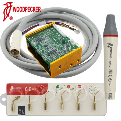 Woodpecker scaler - woodpecker, ad