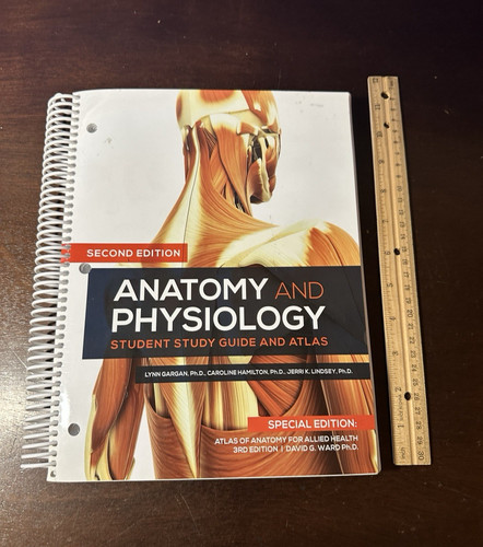 Anatomy physiology special - anatomy,