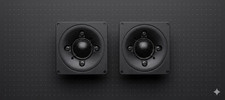 Coppia tweeter peerless - tweeter,