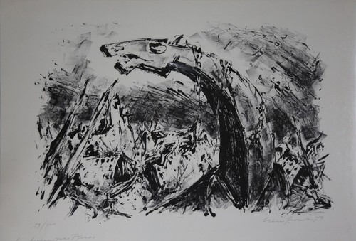 Hans fronius il cavallo - hans, fronius: