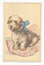 C1  Cartolina Illustrata Anonimo Cucciolo di Cane con Fiocco Azzurro Nvg