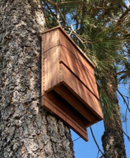 Nuova Bat House da Esterno, Tutto Legno di Cedro Naturale, 2 Camere Casa Giardino Albero