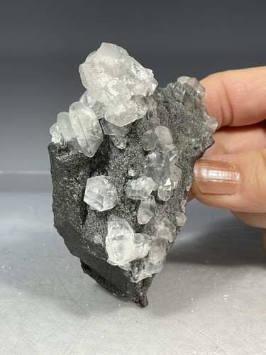 Rocks witherite pigeon - -, (pigeon