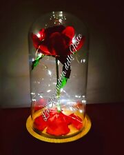 TECA Rosa Eterna La Bella e la