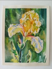 Quadro acquerello fiore iris