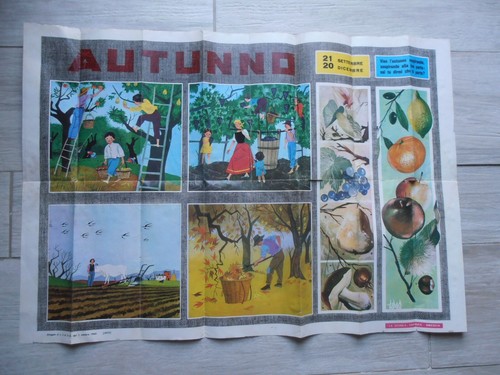 Locandina scuola 1962 - locandina,