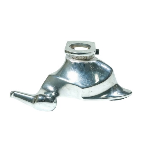 Testa anatra professionale - testa,
