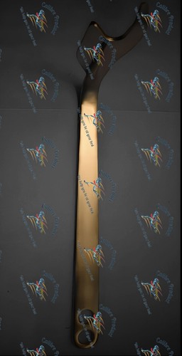 Capsula posteriore dorr - capsula,