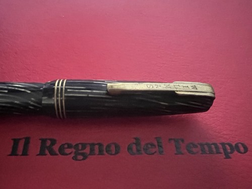 Wilmas penna stilografica - penna,