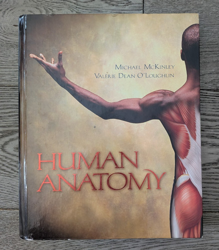 Human anatomy valerie - anatomy, by