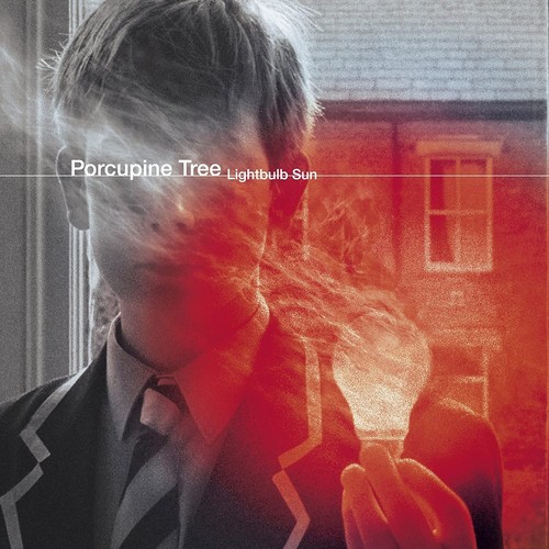 Porcupine tree lightbulb - porcupine,