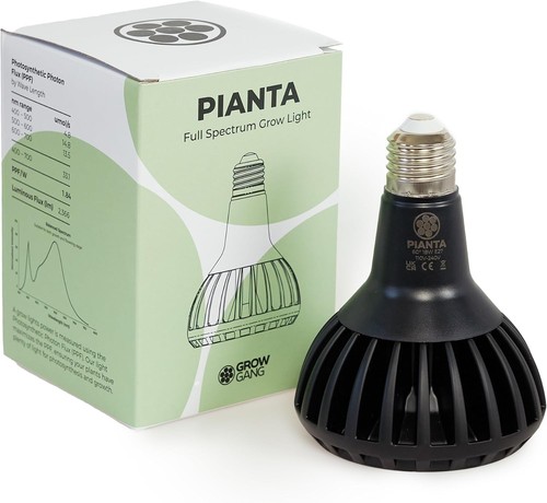 Grow gang pianta - pianta, lampadina