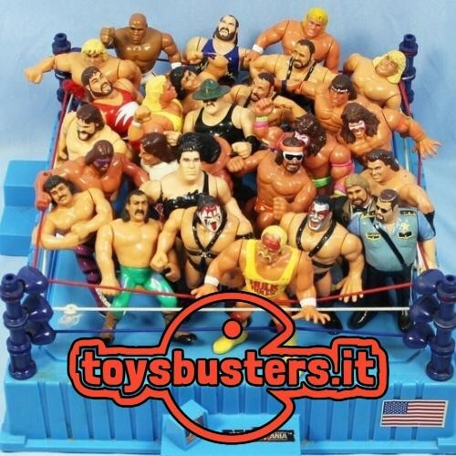 Wwf wrestling hasbro - wwf,