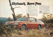 Buick Skyhawk Vintage 1974 2