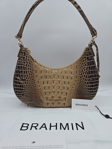 Brahmin small bekka - brahmin,
