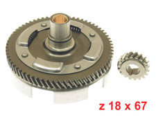 Campana rapporti primaria