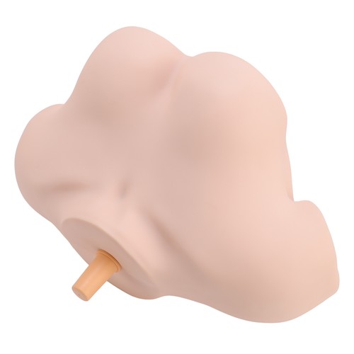 Modello spalla femminile per - modello,