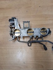 corpo farfallato  triumph