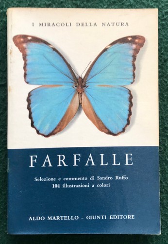 Farfalle ruffo martello - -,