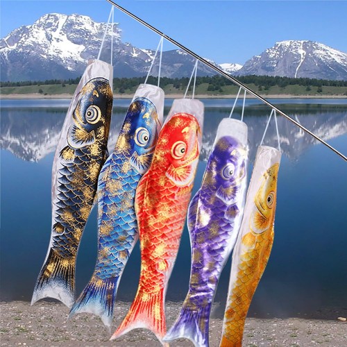 Koinobori carpa koi pesce - koi,