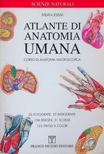 Atlante di anatomia umana