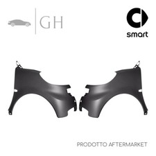 SET COPPIA PARAFANGHI ANT