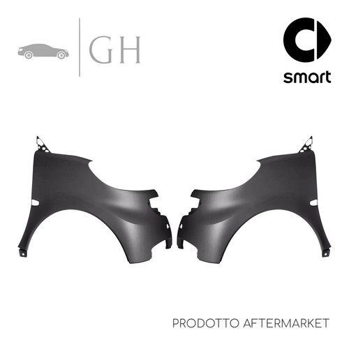 Set coppia parafanghi ant - set,