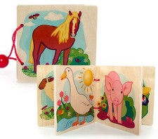 Giocattolo In Legno Libro