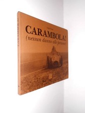 CARAMBOLA ! nessun danno alle