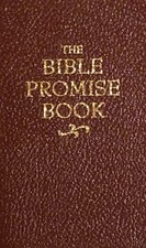 The Bible Promise Book King