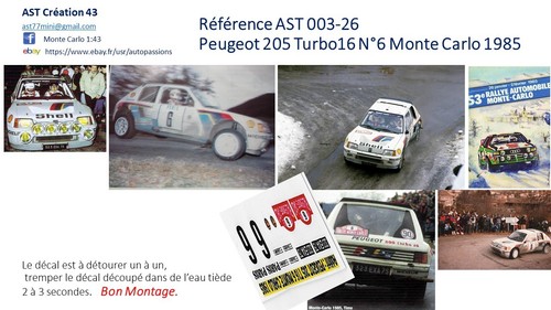 Decal peugeot 205 turbo - 1,