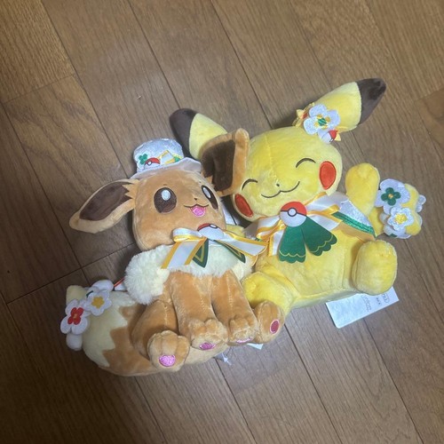 Pokepark kanto 2026 eevee - pokepark,