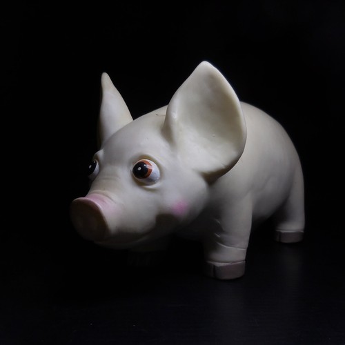 N23 499 maialino maiale scrofa - n23.499,