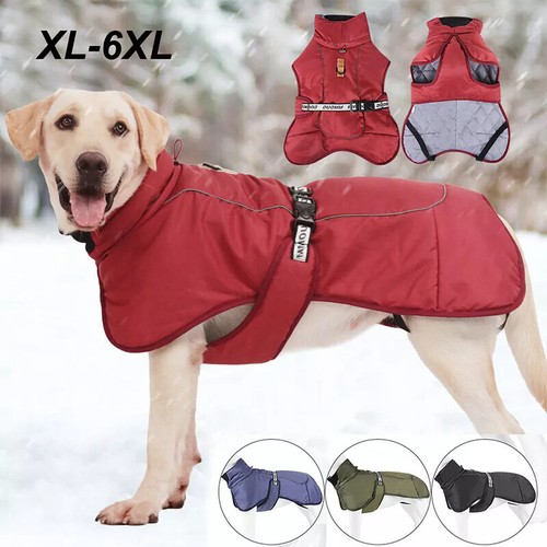 Vestiti per cani grandi - vestiti,