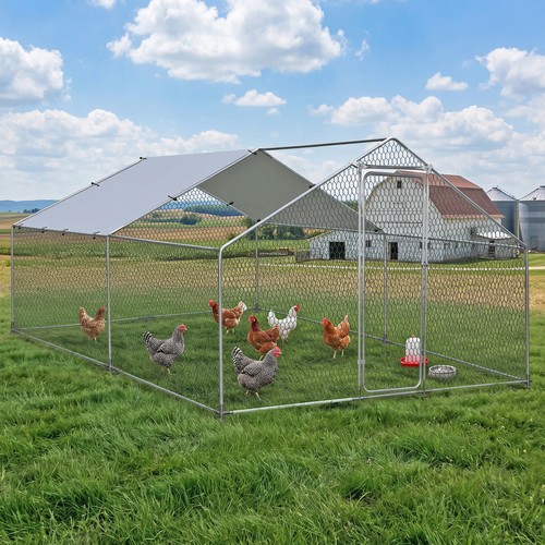Gabbia habitat pollaio 10x13