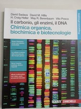 Il carbonio, gli enzimi, il DNA Chimica organica, biochimica e biotecnologie,