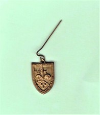 NATIONAL COMMITTEE MEDAL PIN