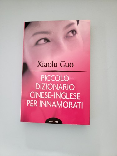 Libro piccolo dizionario - libro,