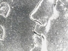 100 LIRE 1979 ERRORE - SDOPPIAMENTO DEL PROFILO E DEL VALORE [Y153]