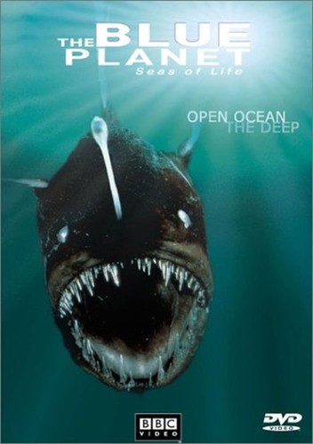 Blue planet seas life open - blue, life: