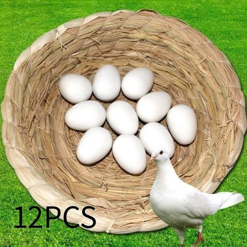 12x uova plastica - di, solida